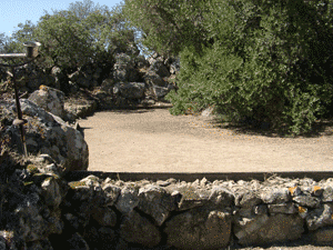 Ptanque