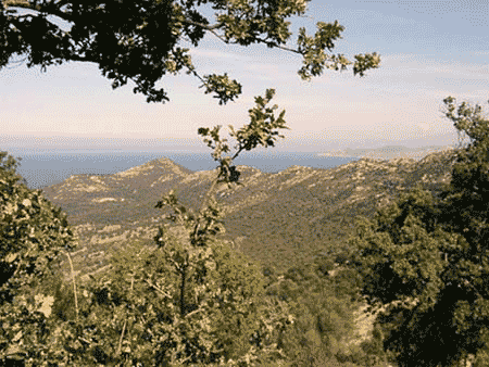 Vue sur le cap